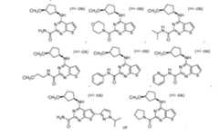 Figure imgf000376_0002