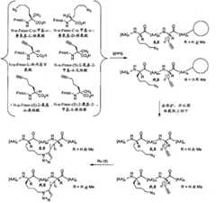 Figure BPA00001373600300501