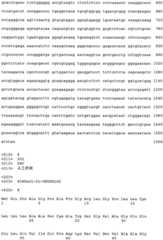 Figure IPA0000228806660000031