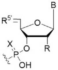 Figure 2023521094000009