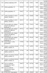 Figure imgf000146_0001