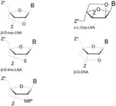 Figure imgf000022_0002