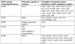 Figure imgf000412_0001
