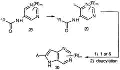 Figure imgf000029_0001