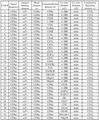 Figure imgf000053_0001