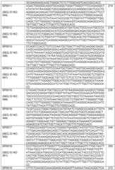 Figure imgf000117_0001