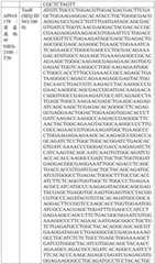 Figure BDA0004033970230005011