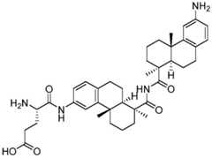 Figure BDA0002889616220002642
