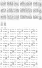 Figure IDA00002091897103691