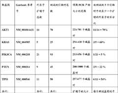 Figure BDA0000059233380000241