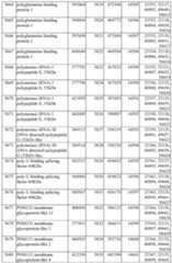 Figure imgf000449_0001