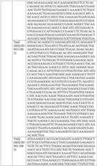 Figure BDA0004033970230005471