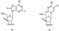 Figure imgf000061_0001