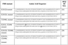 Figure imgf000125_0001