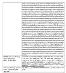 Figure imgf000587_0001