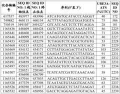 Figure BDA0003282506760001762