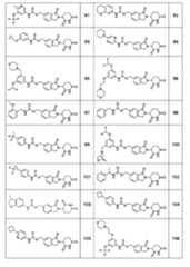 Figure 2024504932000105