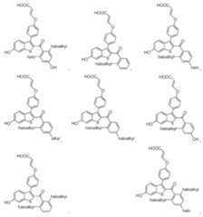 Figure imgf000058_0001