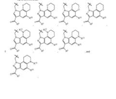 Figure imgf000010_0001