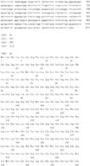 Figure IDA0000079231860000281