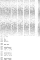 Figure IDA0002536600790000621