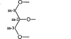 Figure GSA00000039132200171