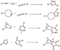 Figure imgf000044_0003