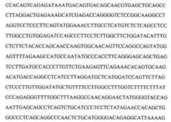 Figure 104109152-A0202-12-0095-31