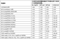 Figure GDA0004138988600001581