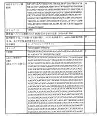 Figure 0007438604000072