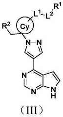 Figure BDA0002319666810000052