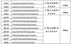 Figure BSA00000171256600151