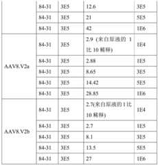 Figure BDA0001764338830000381