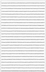 Figure 108128641-A0202-12-0125-974