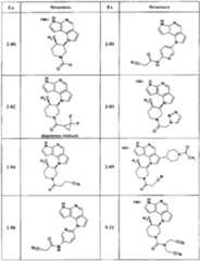 Figure BPA00001446920501021