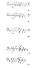 Figure G2009101493490D00961