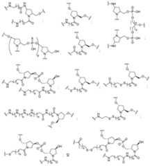 Figure 112016114379466-pct00045