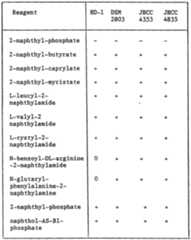 Figure imgf000032_0001