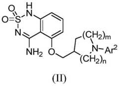 Figure BDA0002978138880000791