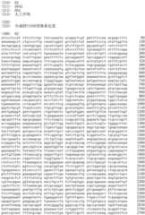 Figure IDA0002536600790000361