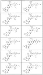 Figure imgf000340_0001