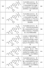 Figure GPA0000263212130002321