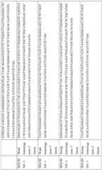 Figure imgf000075_0002