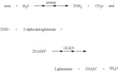 Figure US12195392-20250114-C00001