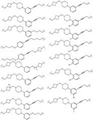 Figure BDA0003027048450002251