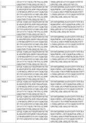 Figure PCTCN2022116860-appb-000039