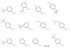 Figure 0007465368000025