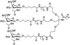 Figure BDA0003018192690002603