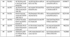 Figure BDA0004033970230004771