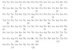 Figure 109115264-A0305-02-0244-113